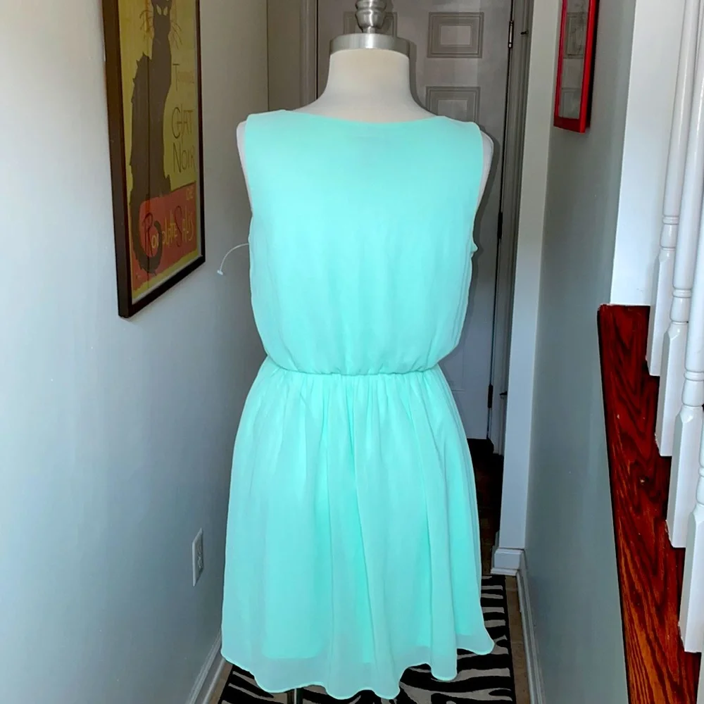 IZ Buyer Pale Green  skater dress size M 💃🏾 - Picture 7 of 8